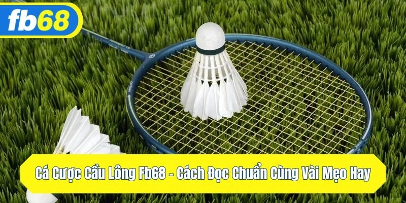 Cá Cược Cầu Lông FB68 – Cách Đọc Chuẩn Cùng Vài Mẹo Hay